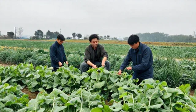 温湿度控制在仓储保鲜中的使用与维护建议