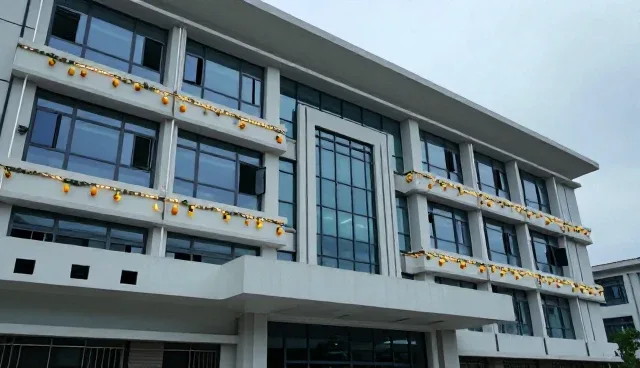 湿度管理在种植过程中的关键作用与常见问题处理