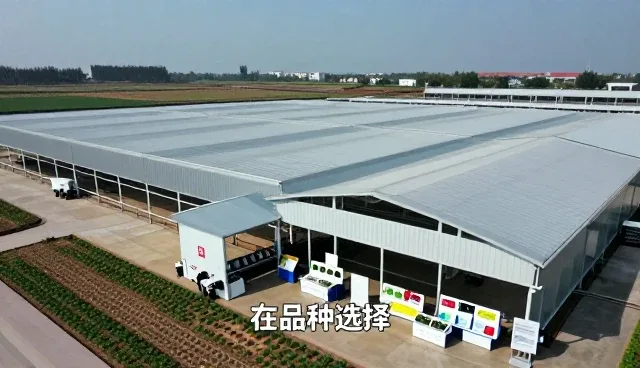仓储保鲜让项目现场应用更加便捷